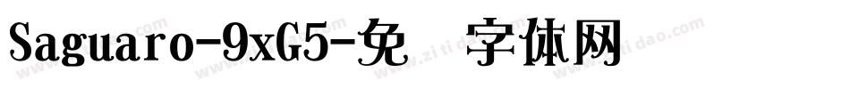 Saguaro-9xG5字体转换