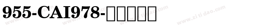 955-CAI978字体转换