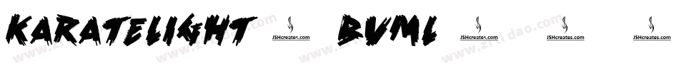 KarateLight-BVMl字体转换