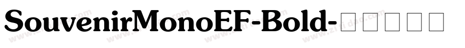 SouvenirMonoEF-Bold字体转换