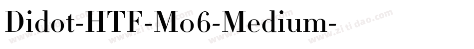 Didot-HTF-M06-Medium字体转换