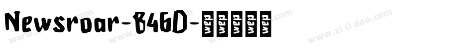 Newsroar-846D字体转换