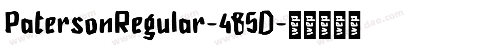 PatersonRegular-485D字体转换