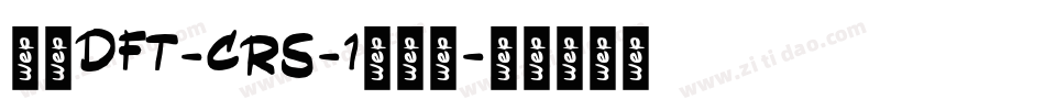 崋康DFT-CRS-1转换器字体转换