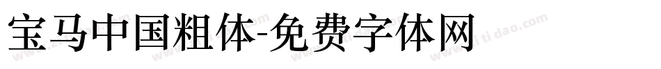 宝马中国粗体字体转换