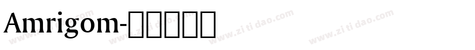 Amrigom字体转换