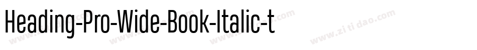 Heading-Pro-Wide-Book-Italic-trial字体转换