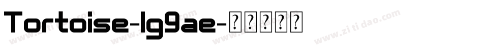 Tortoise-lg9ae字体转换