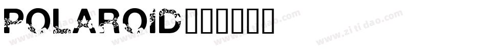 POLAROID字体转换