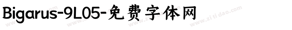 Bigarus-9L05字体转换