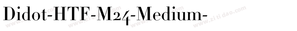 Didot-HTF-M24-Medium字体转换