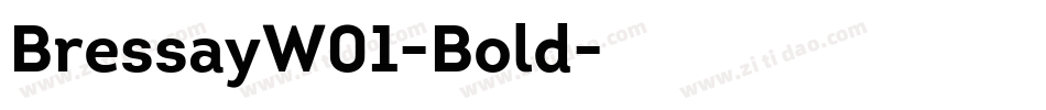 BressayW01-Bold字体转换
