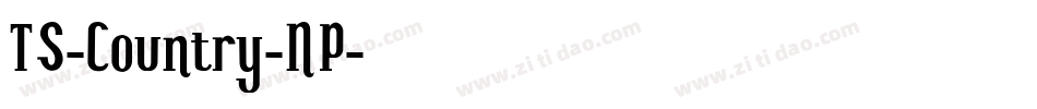 TS-Country-NP字体转换