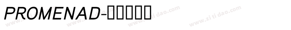 PROMENAD字体转换