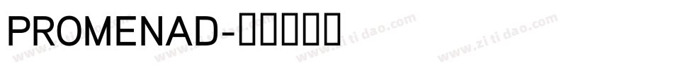 PROMENAD字体转换