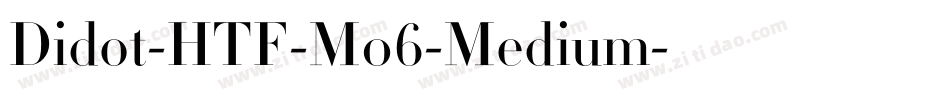 Didot-HTF-M06-Medium字体转换