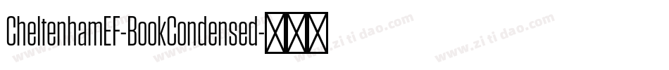 CheltenhamEF-BookCondensed字体转换