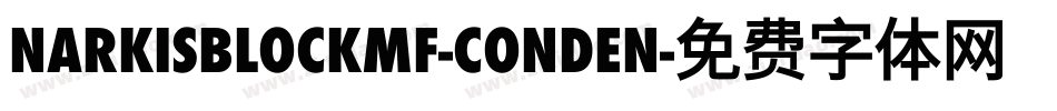 NarkisBlockMF-Conden字体转换
