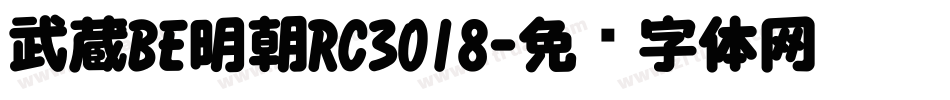 武蔵BE明朝RC3018字体转换