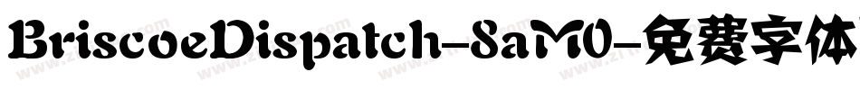 BriscoeDispatch-8aM0字体转换