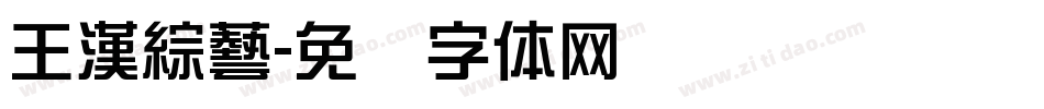 王漢綜藝字体转换