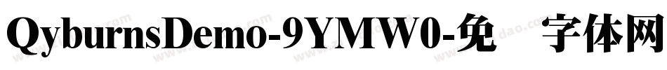 QyburnsDemo-9YMW0字体转换