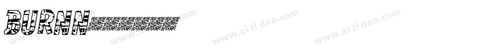 BURNN字体转换
