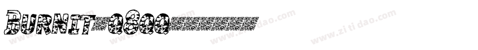 Burnit-q8qq字体转换