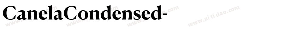 CanelaCondensed字体转换