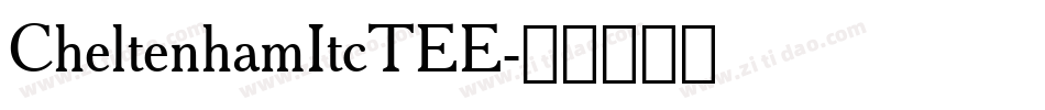 CheltenhamItcTEE字体转换