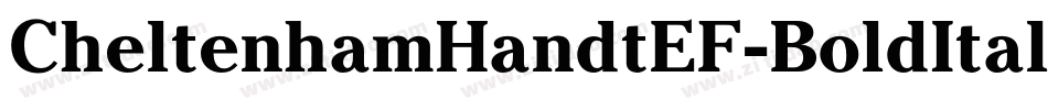 CheltenhamHandtEF-BoldItalic字体转换
