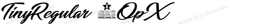 TinyRegular-0OpX字体转换
