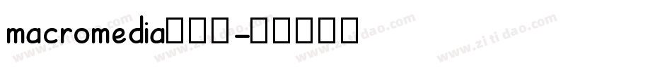 macromedia转换器字体转换