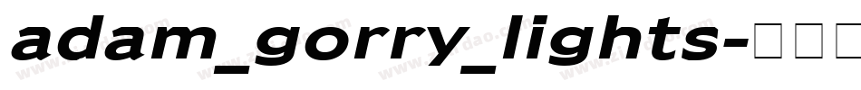 adam_gorry_lights字体转换