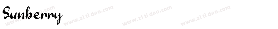 Sunberry字体转换