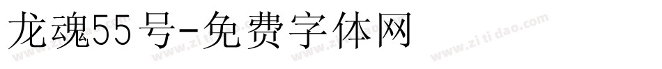 龙魂55号字体转换