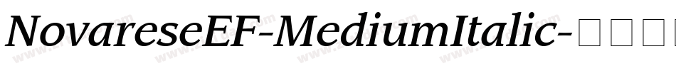 NovareseEF-MediumItalic字体转换