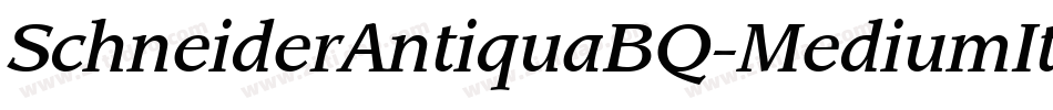 SchneiderAntiquaBQ-MediumItalic字体转换