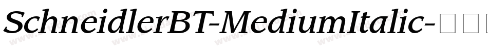 SchneidlerBT-MediumItalic字体转换