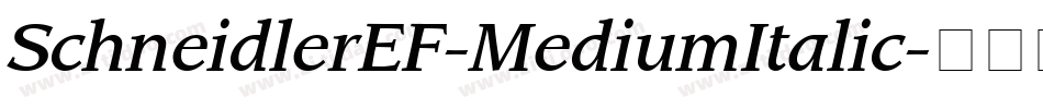 SchneidlerEF-MediumItalic字体转换