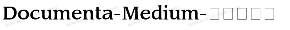 Documenta-Medium字体转换