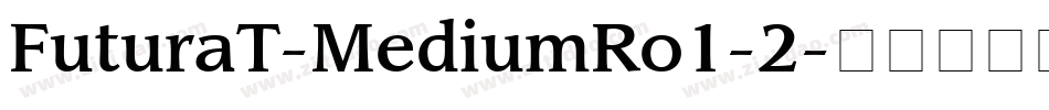 FuturaT-MediumRo1-2字体转换