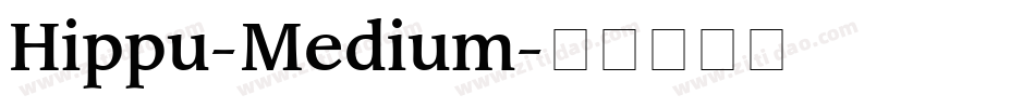 Hippu-Medium字体转换