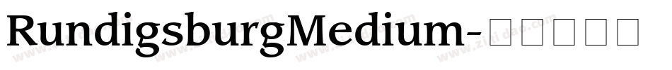 RundigsburgMedium字体转换
