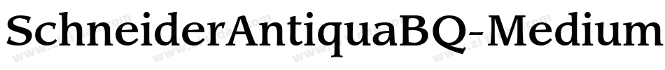 SchneiderAntiquaBQ-Medium字体转换