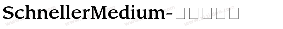 SchnellerMedium字体转换