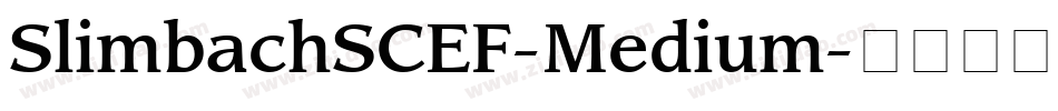 SlimbachSCEF-Medium字体转换