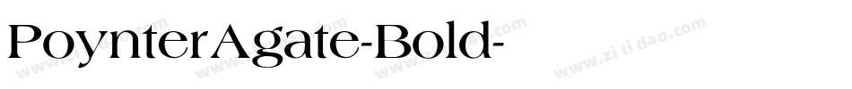 PoynterAgate-Bold字体转换