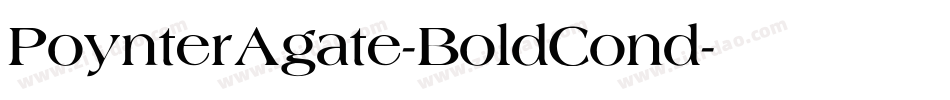 PoynterAgate-BoldCond字体转换