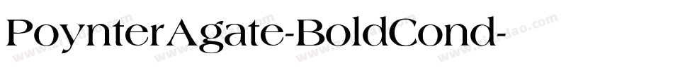 PoynterAgate-BoldCond字体转换